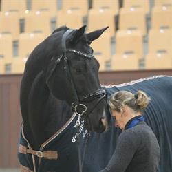 Ineke Jansen, Borculo openingstijden
