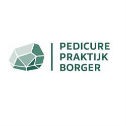 Pedicure Praktijk Borger, openingstijden