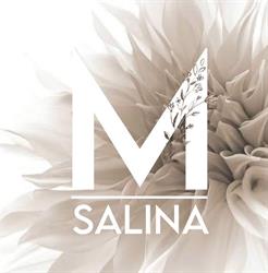 Salina-M, Hoofddorp openingstijden