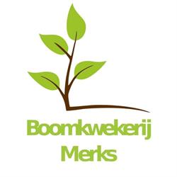 Boomkwekerij Merks V.O.F., Son en Breugel openingstijden
