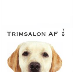 Trimsalon AF!, Dalen openingstijden