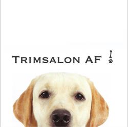 Trimsalon af, Dalen openingstijden