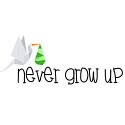 Never Grow Up - Babyshop, Haarlem openingstijden