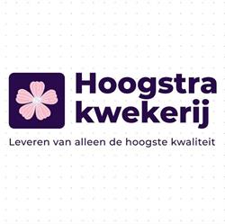 Hoogstra Kwekerij, Scharmer openingstijden