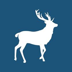 Deer Peter B.V. Stationsbuurt Zwolle - openingstijden