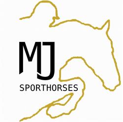 MJ Sporthorses, Prinsenbeek openingstijden