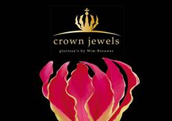 Crown Jewels Gloriosa, Nootdorp openingstijden