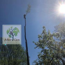 Arbor Care Boomverzorging, Heerhugowaard openingstijden