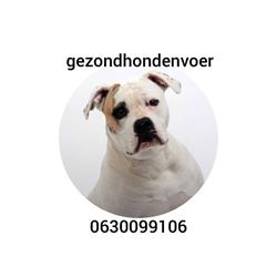 Gezondhondenvoer.com, Wildervank openingstijden