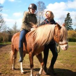 www leonardohorse, Gorssel openingstijden