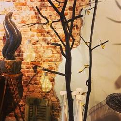 Atelier Woonst, Bergen op Zoom openingstijden