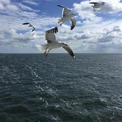Waddenlodge, Den Hoorn openingstijden