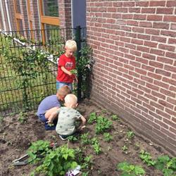 Kindercentrum Zoblij, Gasselte openingstijden