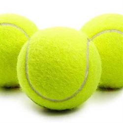 Tennisvereniging De Puye, 's-Heer Hendrikskinderen openingstijden