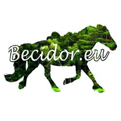 Becidor.eu paardensportartikelen, 's-Heerenberg openingstijden