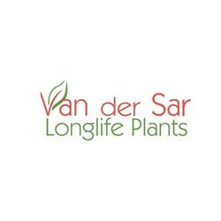 Van der Sar Plants, 's-Gravenzande openingstijden