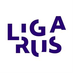 Ligarus B.V. Management & Engineering, 's-Hertogenbosch openingstijden
