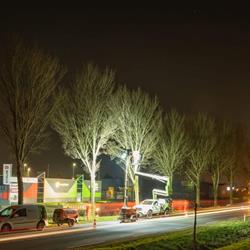 Boomadvies Nederland B.V., 's-Hertogenbosch openingstijden