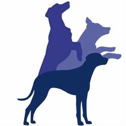 Show Dog Centre, 't Zandt openingstijden