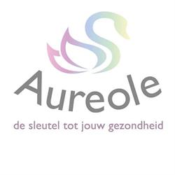 Aureole Healing, Heiloo openingstijden