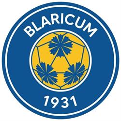 Bvv'31, Blaricum openingstijden