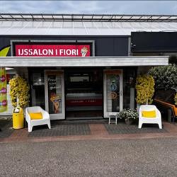 IJssalon I FIORI, De Lier openingstijden