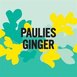 Paulies Ginger, Haarlem openingstijden