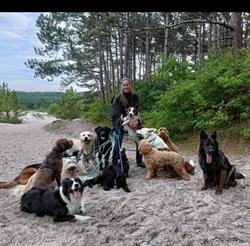 Shirley's Daily Dog Care, Den Helder openingstijden