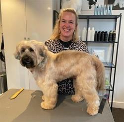 Harige Harrie Hondentrimsalon, Rijssen openingstijden