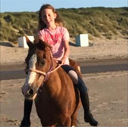 Pony’s aan zee (voorheen Ponyfarm Aagtekerke), openingstijden