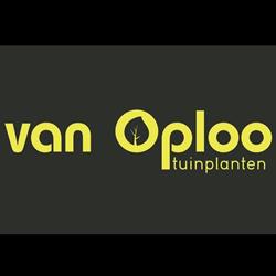 van Oploo Tuinplanten B.V., Bavel openingstijden