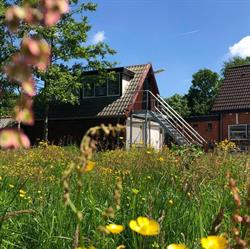 B&B Bijzonder, Drachten openingstijden