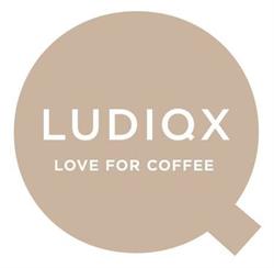 LUDIQX.nl, Leiden openingstijden