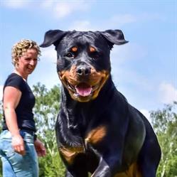 Kracht op poten, Borne openingstijden