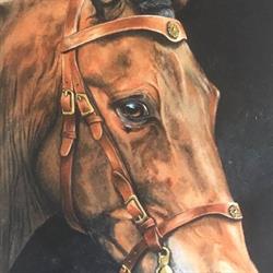 Matthijsse Artworks, De Pol openingstijden