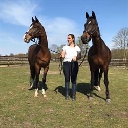 SR Paardencoaching & Re-integratie, Amsterdam openingstijden