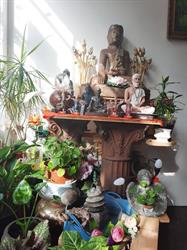 Chom Chan, 's-Gravenhage openingstijden