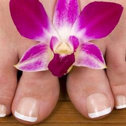 Pedicure-noord, Rotterdam openingstijden