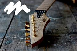 VanderMeij Guitars, Lisse openingstijden