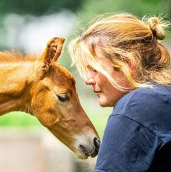 PaardenLuisteren, Aalten openingstijden
