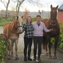 Stal Renate, Tynaarlo openingstijden