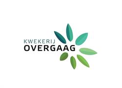Kwekerij Overgaag Honselersdijk, openingstijden
