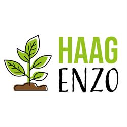 Haagenzo, Budel openingstijden