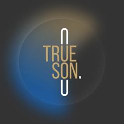Trueson B.V., Amsterdam openingstijden