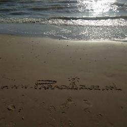 Paradizee, Egmond aan Zee openingstijden
