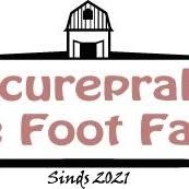 Medisch pedicurepraktijk The Foot Farm, Bunschoten-Spakenburg openingstijden
