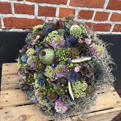 Butterflies and Flower, Ossendrecht openingstijden