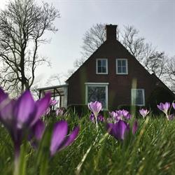Vakantiewoning Westerweg, Eenrum openingstijden