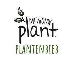 Mevrouw Plant, Deurne openingstijden
