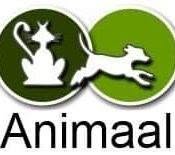 Animaal., Beverwijk openingstijden